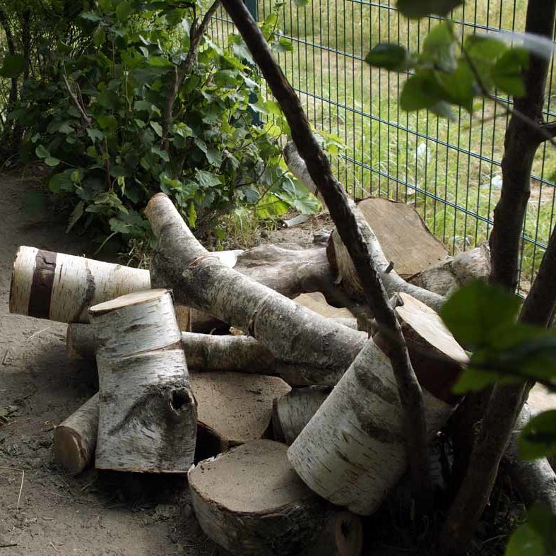 Holz zum Spielen Mit Baumscheiben kann man phantasievoll spielen